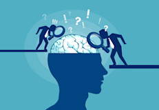También parecen ser útiles para controlar la inflamación, por ser ricos en vitamina A y E, favorecer la salud cerebral, gracias a la presencia de vitamina B6, que ayuda a construir los aminoácidos esenciales para transmitir los impulsos nerviosos, y mejorar las defensas, debido a la presencia de antioxidantes.