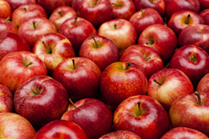 No por nada es la segunda fruta más consumida en EE. UU. y una de las principales a nivel mundial. Las manzanas son ricas en quercetina, un antioxidante que, entre otras ventajas, protegería al cerebro de las enfermedades neurodegenerativas. También se las vincula con bondades a nivel cardiovascular, pulmonar e inmunológico.