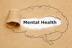 La salud mental es un estado de bienestar en el que la persona realiza sus capacidades y es capaz de hacer frente al estrés normal de la vida, de trabajar de forma productiva y de contribuir a su comunidad.