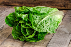 Aunque la lechuga se utiliza principalmente para preparar ensaladas, uno de sus activos, la lactucina, tendría efectos sedantes y tranquilizantes que ayudarían a conciliar el sueño. Por eso, algunos profesionales señalan que pueden realizarse infusiones de este vegetal para aprovechar este beneficio.