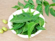 El aceite de Azadirachta, mejor conocida como Neem, ha demostrado eficacia para repeler insectos con resultados variables. Debido a la escasez de estudios científicos, este producto no se recomienda como un repelente eficaz para los viajeros en zonas endémicas.