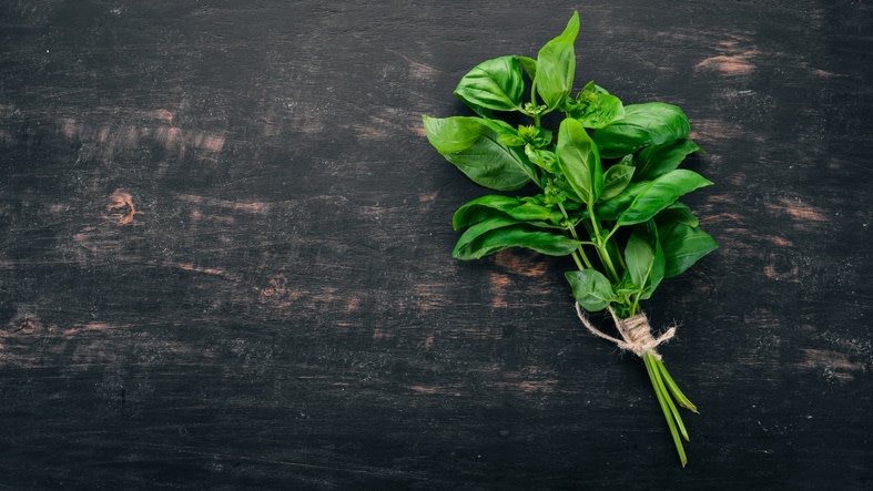 En la naturaleza existen hierbas prodigiosas que pueden ayudar a cuidar nuestra salud y a aliviar enfermedades. Tal es el caso de la albahaca, esa gustosa planta que da un toque especial a muchos platillos. Se comprobó que sus hojas y su aceite esencial son valiosos a la hora de controlar la diabetes.  No reemplaza al tratamiento médico, pero puede sumar todo su potencial para que controlar la glucosa sea más fácil.