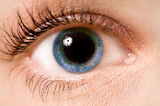 Existen ciertos alimentos que contienen nutrientes que son determinantes para tener una buena salud en los ojos. La evidencia científica destaca algunos de ellos, como luteína, ácidos grasos Omega 3 o licopeno. ¿Quieres saber cómo obtenerlos? Aquí te mostramos: