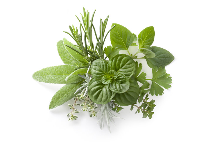Como sabes las hierbas frescas o deshidratadas en la cocina se usan para añadir sabor a tu receta, además brinda un toque de color y aroma. Si las sabes utilizar incluso puedes disminuir la cantidad de sal en tu preparación. Las siguientes son algunas ideas para conservarlas y aprovecharlas al máximo.