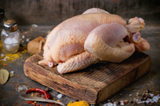 Es difícil precisar cuándo comenzó a consumirse carne de pollo (los registros más antiguos datan del Neolítico, alrededor del 6.000 a. C.). Algunos estudios señalan que las primeras gallinas y pollos domesticados provienen de la India, hace aproximadamente 4.000 años. Lo cierto es que, gracias a los avances científicos y tecnológicos, y a los nuevos conocimientos higiénicos y sanitarios, la producción de pollo tuvo un crecimiento significativo, principalmente durante el siglo XX, permitiendo que se transformara en un alimento habitual en las dietas de todo el mundo.