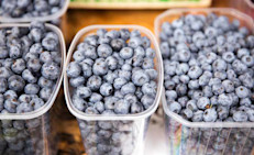Se destacan por su contenido de antocianinas. Una taza  de moras azules “blueberries” frescas contiene 241 mg de antocianinas, en cambio una taza de moras azules congeladas contiene casi la mitad 146 mg. Evita cocinarlas ya que se pierde el contenido de antocianinas. Entre más frescas, mejor. Evita mantenerlas mucho tiempo refrigeradas para evitar pérdidas de flavonoides y sus propiedades, entre ellas que disminuya su sabor.