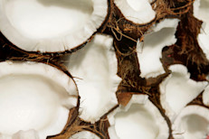 El agua de coco, también llamada agua de pipa, es un líquido que se encuentra de forma natural en el interior de los cocos, el fruto del cocotero (Cocos nucifera), la palmera más cultivada en el mundo. Posee un color transparente y es una bebida muy popular en las zonas tropicales, donde suele bebérselo directamente del fruto.