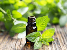 Para conservar las hojas de menta puedes utilizar el mismo método de conservación que la albahaca. Puedes colocar las hojas de menta como un racimo en un vaso de agua y cubrir con plástico. O simplemente colocarlas lavadas y secas en una bolsa resellable y refrigerar. 