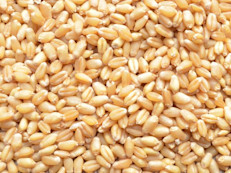 Este producto contiene altos niveles de vitamina E, que, como hemos mencionado antes, es sumamente benéfica para la vista. Otras opciones que puedes tener en cuenta para incorporarla son las almendras, semillas de girasol y mantequilla de maní.