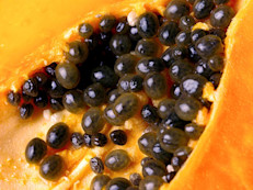 Debido a su sabor celestial y su jugosa pulpa, la papaya fue bautizada por Cristóbal Colon como la “fruta de los ángeles”. La papaya es una excelente fuente de vitamina C y otros antioxidantes como los carotenos y vitamina E. Además, contiene papaína, una enzima con una variedad de propiedades cosméticas. La pulpa más cercana a la cáscara es la que contiene los niveles más altos de papaína y carotenos.