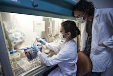 No existe una cura para la psoriasis, pero todos los tratamientos mencionados pueden reducir la gravedad de los síntomas o eliminarla durante un tiempo. Con el objetivo de brindar mejores soluciones, los investigadores estudian intensamente para entender más sobre su naturaleza genética y su conexión con el sistema inmunológico.