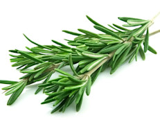 Además de ser muy aromático, el romero es una excelente hierba medicinal para favorecer el crecimiento del cabello, posee una infinita cantidad de nutrientes como hierro, calcio, vitaminas y antioxidantes, además, promueve la regeneración celular. Masajea el cuero cabelludo con este aceite después del shampoo para promover el crecimiento. 