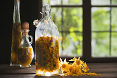 La árnica es famosa como remedio homeopático o cuando se usa como ungüento, por aliviar dolores musculares, moretones y picaduras. Incluso se la vincula con una mejor visión y una reducción de la inflamación, pero ¿qué tan ciertas son estas propiedades? 