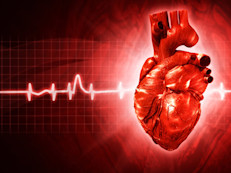 La avena, al igual que otros granos enteros contiene lignanos. Los lignanos son un tipo de fibra soluble que al sintetizarse en la flora intestinal reducen la habilidad del colesterol de pegarse en las paredes de las arterias y prevenir la formación de arterioesclorosis, además de reducir el riesgo de enfermedades del corazón.