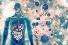 Solemos olvidar que el cuerpo está equipado con un sistema de desintoxicación propio, empezando por la piel, que proporciona una barrera contra sustancias nocivas, desde bacterias y virus hasta metales pesados y toxinas químicas. El sistema respiratorio, el sistema inmune, los intestinos, el hígado y los riñones, son los otros grandes defensores del organismo.