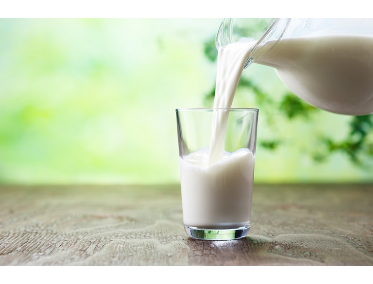 A diferencia del resto de los mamíferos, la mayoría de los seres humanos continúa consumiendo leche, de otros animales, tras finalizar el período de lactancia. Con ello, se busca continuar con un tipo de nutrición más allá de los primeros años de vida. Aquí recopilamos conclusiones de diferentes investigaciones para conocer los beneficios de la leche y qué precauciones debes tener en cuenta.