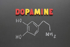 En presencia del azúcar se liberan opioides y dopaminas, que son neurotransmisores relacionados con la recompensa, y constituye una reacción similar a la que dispara el consumo de cocaína, metanfetamina, morfina o alcohol.