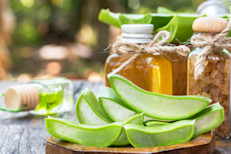 La sábila o aloe vera es uno de los remedios naturales más recomendados por la sabiduría popular. Por su poder cicatrizante y de profunda penetración en la piel, es una de las plantas más usadas en la cosmética e ideal para lastimaduras. Muchos expertos aseguran que aplicando su jugo se podría acelerar la recuperación de las heridas. 