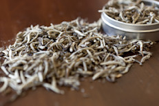 Para preparar té blanco debes calentar 250 ml de agua y una vez que rompa en hervor retirarla del fuego, añadir dos cucharaditas de té blanco, y dejar reposar durante unos minutos. Luego se cuela y bebe solo o con un endulzante a gusto. Los expertos aseguran que no hay problemas en beber entre dos y tres tazas al día.
