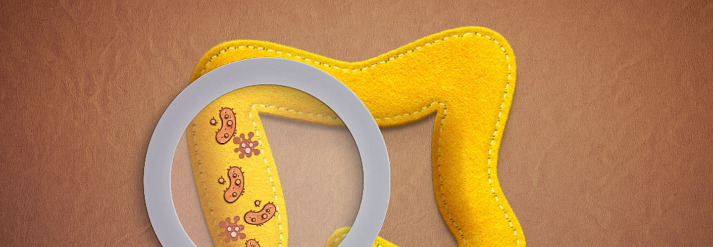 5 formas de mejorar la salud intestinal