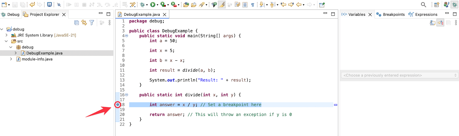 This will allow you to pause the program before the division by zero occurs.