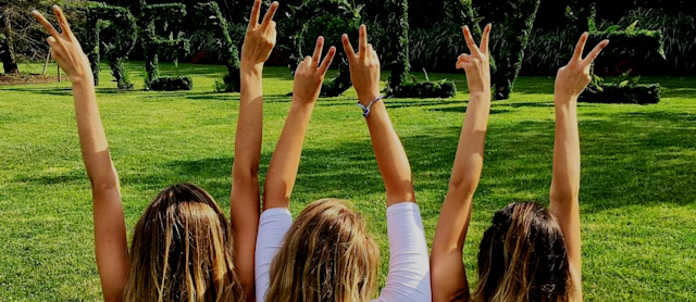 revolve-hamptons-header-vis