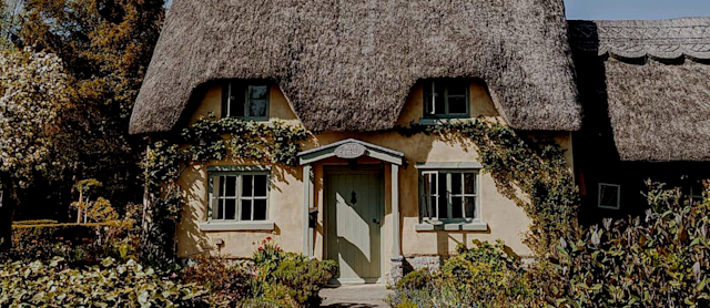 country living-case study-header