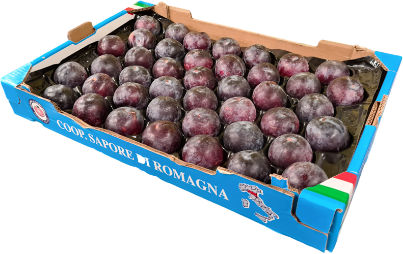 Apple Box