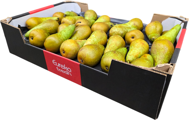 Apple Box