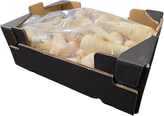 Apple Box