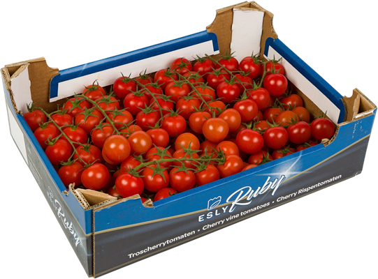 Apple Box