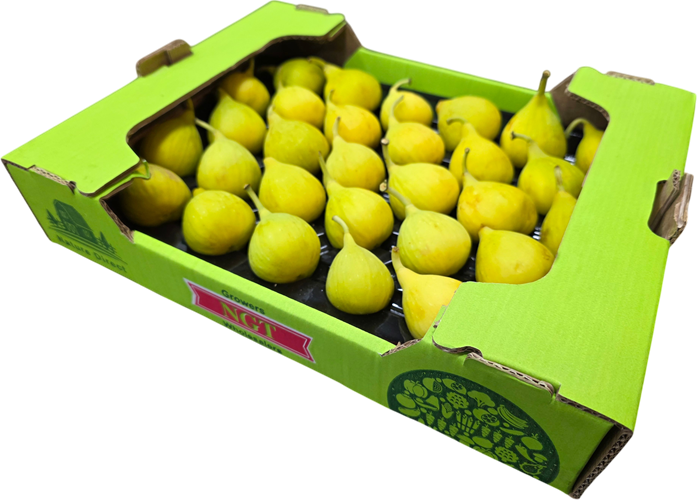 Apple Box