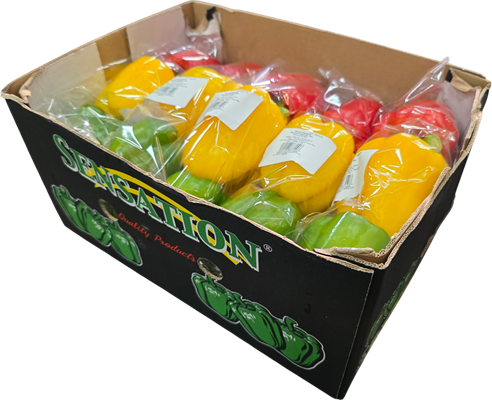Apple Box