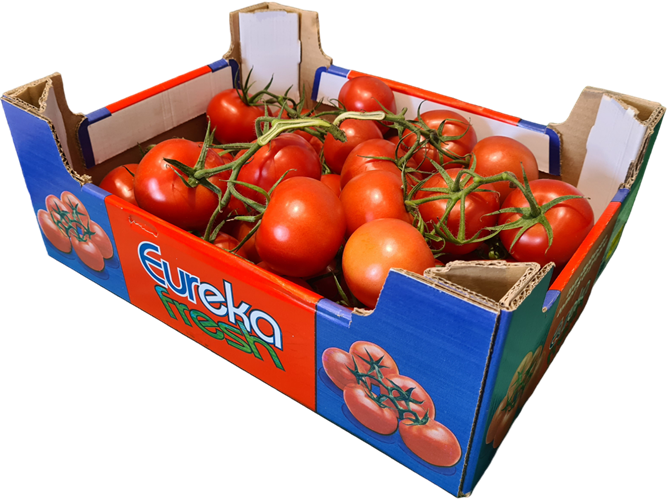 Vine Tomatoes