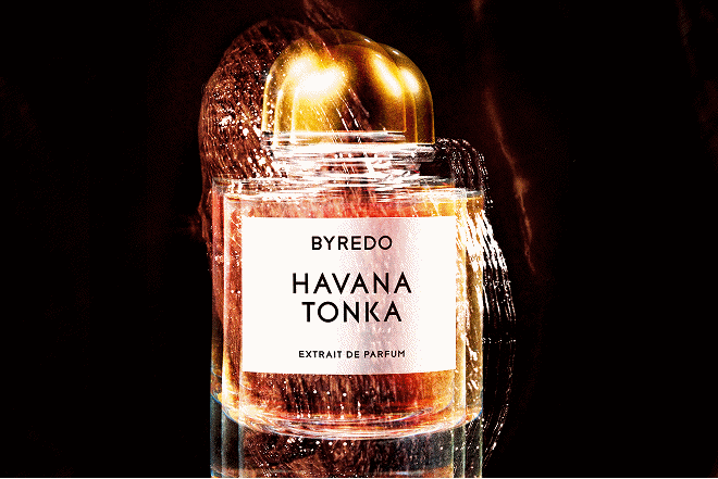 The Niche fragrance Edit 
