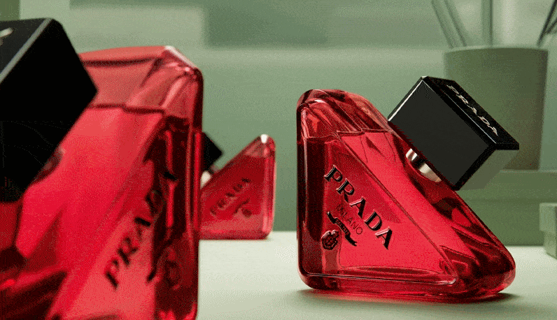 The Fragrance Collective