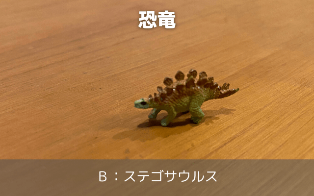 恐竜B：ステゴサウルス