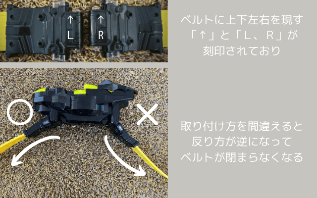 ベルトには上下左右が決まっている