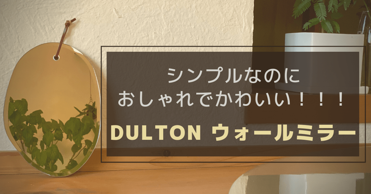 Cover Image for DULTONの壁掛け鏡がシンプルなのにおしゃれでかわいい！！！