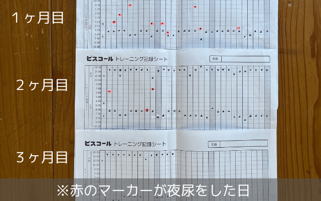 夜尿の記録