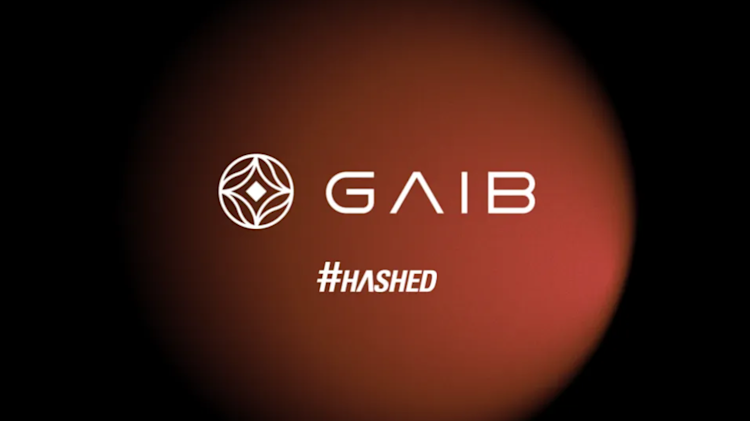 Our Investment in GAIB