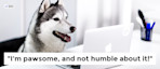img-2_contrast.png