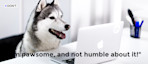 img-1_contrast.png