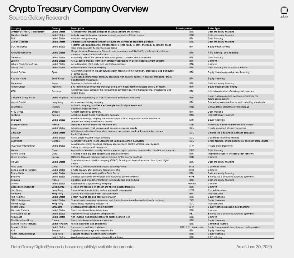 1 - Crypto Treasury Company Overview