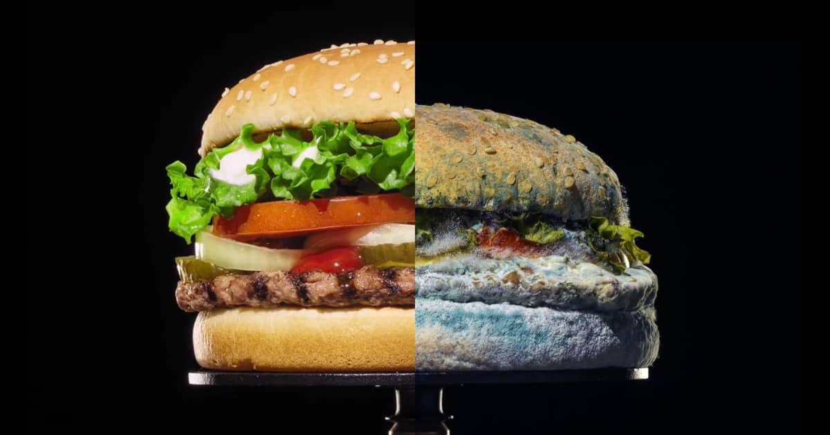 Will a Moldy Whopper Whet Consumers’ Appetites? | The + from Camp + King