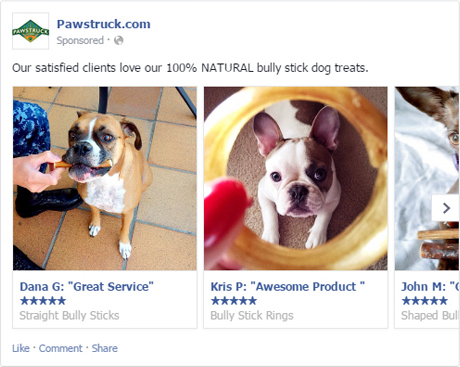 Image of Pawstruck advertisements on facebook with the caption 'Our satisfied clients love our 100% NATURAL bully stick dog treats.' Images of dogs are paired with user reviews.