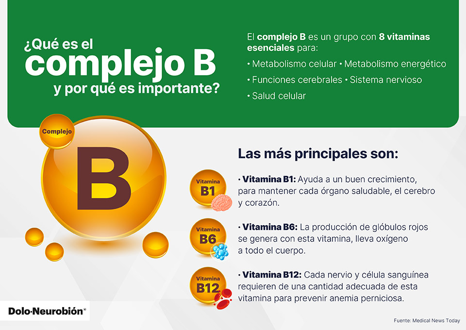 Vitaminas del complejo B: apoyo clave y rendimiento muscular