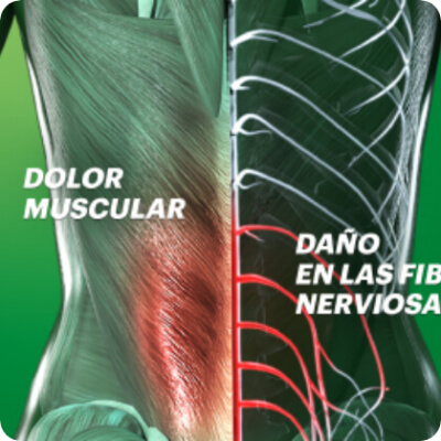 About us image asset