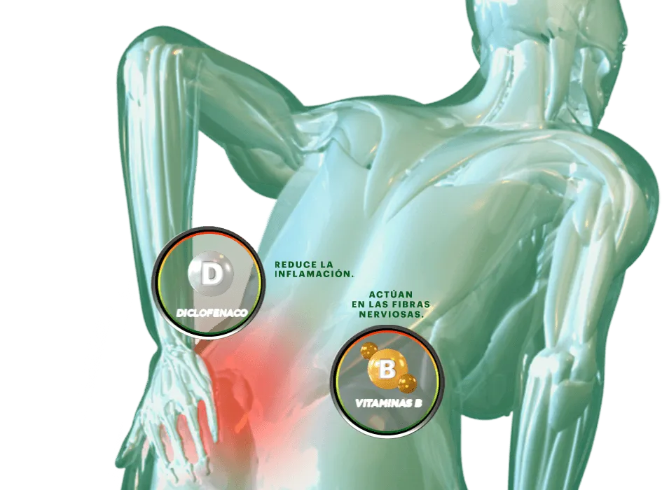 Una imagen del cuerpo humano con la leyenda: el diclofenaco reduce la inflamación, las vitaminas b actúan en las fibras nerviosas.