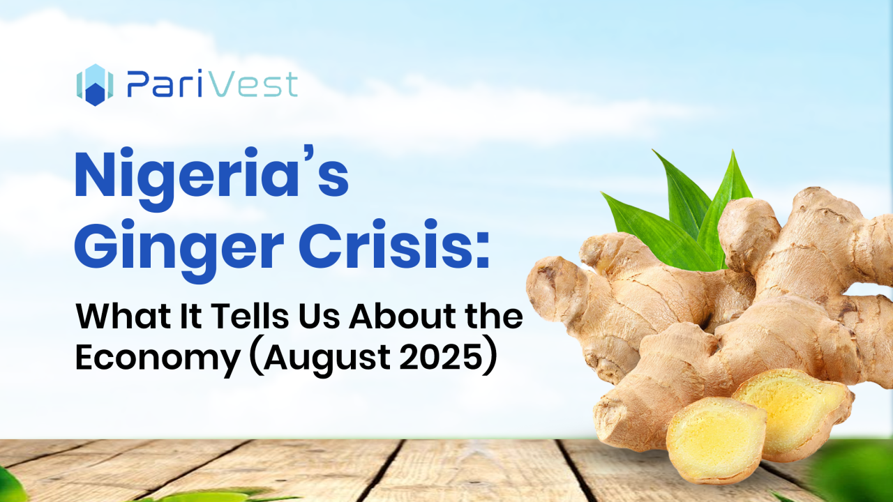 Cover image for Nigeria’s Ginger Crisis: What It Tells Us About the Economy (August 2025)